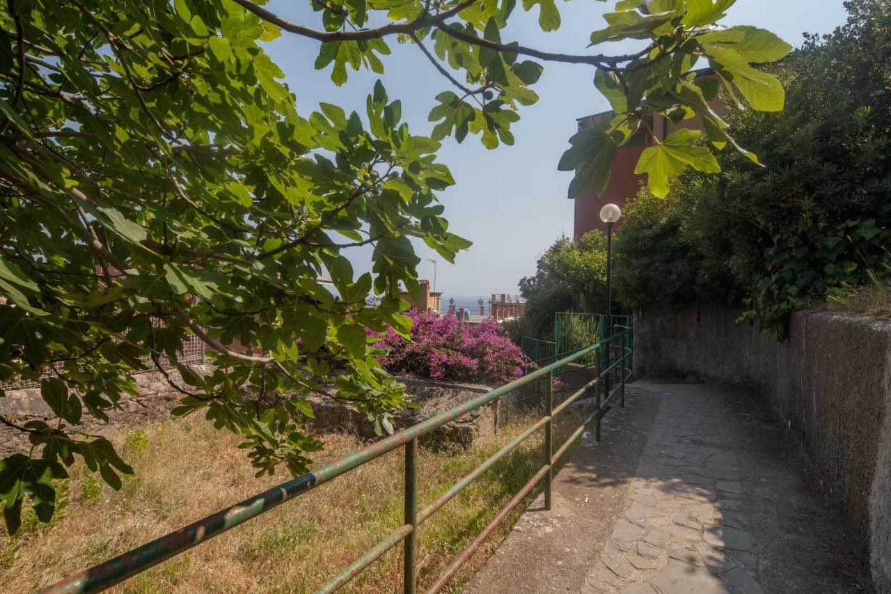 Il Geco Lejlighed Monterosso al Mare Eksteriør billede